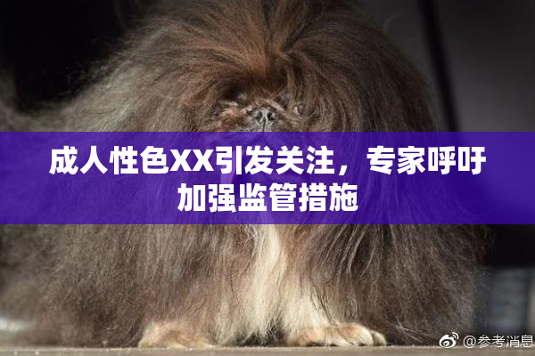 成人性色XX引发关注，专家呼吁加强监管措施