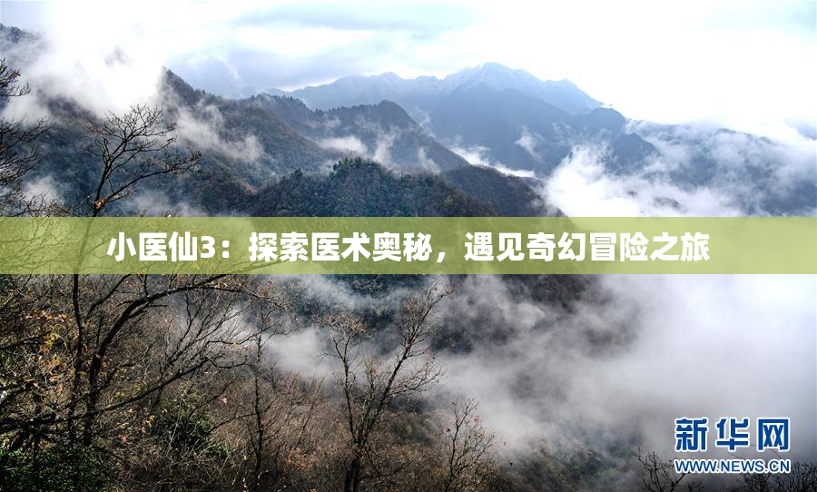 小医仙3：探索医术奥秘，遇见奇幻冒险之旅