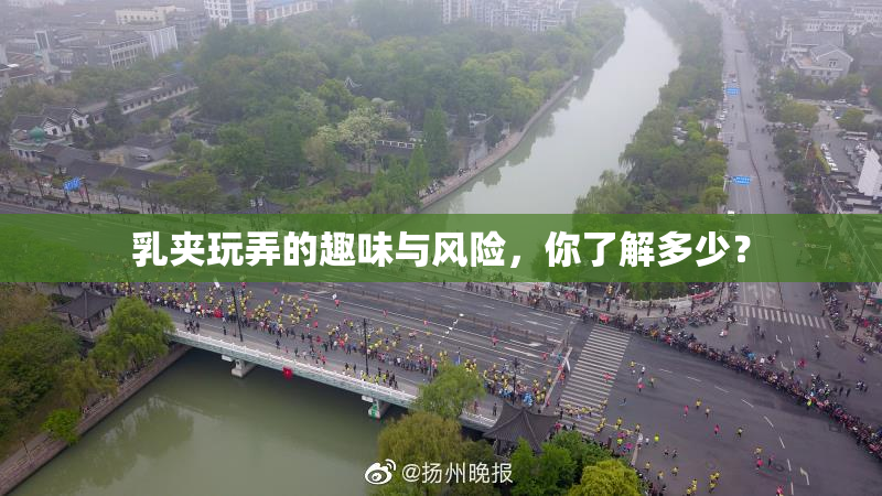 乳夹玩弄的趣味与风险，你了解多少？