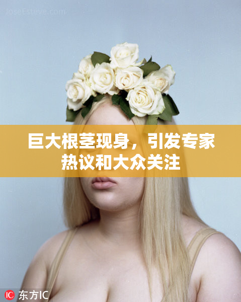 巨大根茎现身，引发专家热议和大众关注