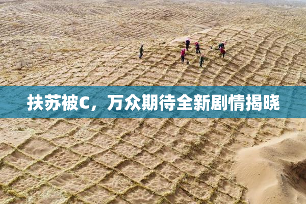 扶苏被C，万众期待全新剧情揭晓