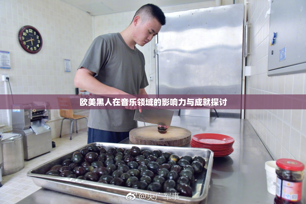 欧美黑人在音乐领域的影响力与成就探讨