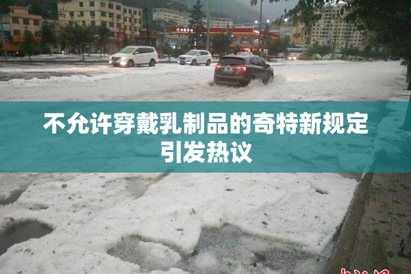 不允许穿戴乳制品的奇特新规定引发热议