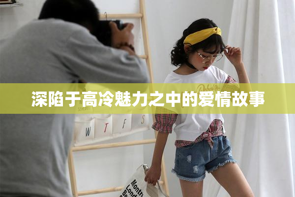深陷于高冷魅力之中的爱情故事