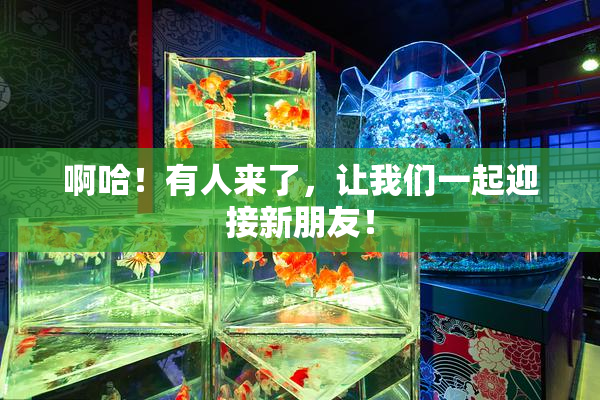 啊哈！有人来了，让我们一起迎接新朋友！