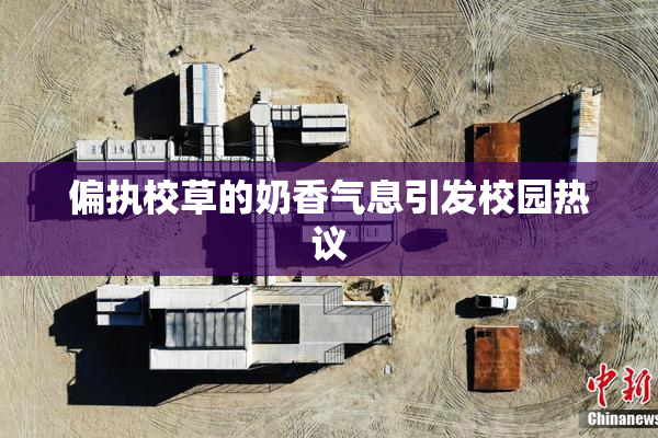 偏执校草的奶香气息引发校园热议
