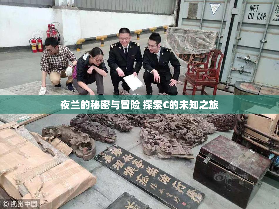 夜兰的秘密与冒险 探索C的未知之旅