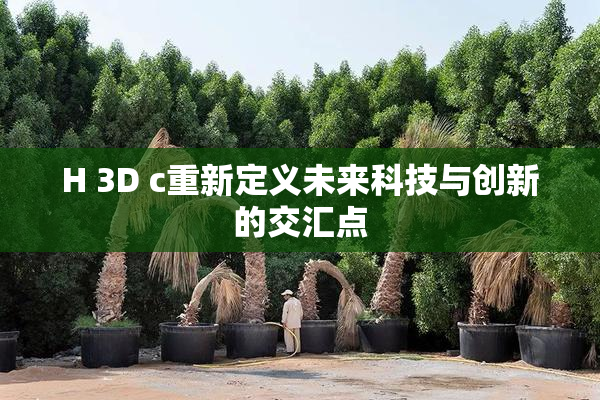 H 3D c重新定义未来科技与创新的交汇点
