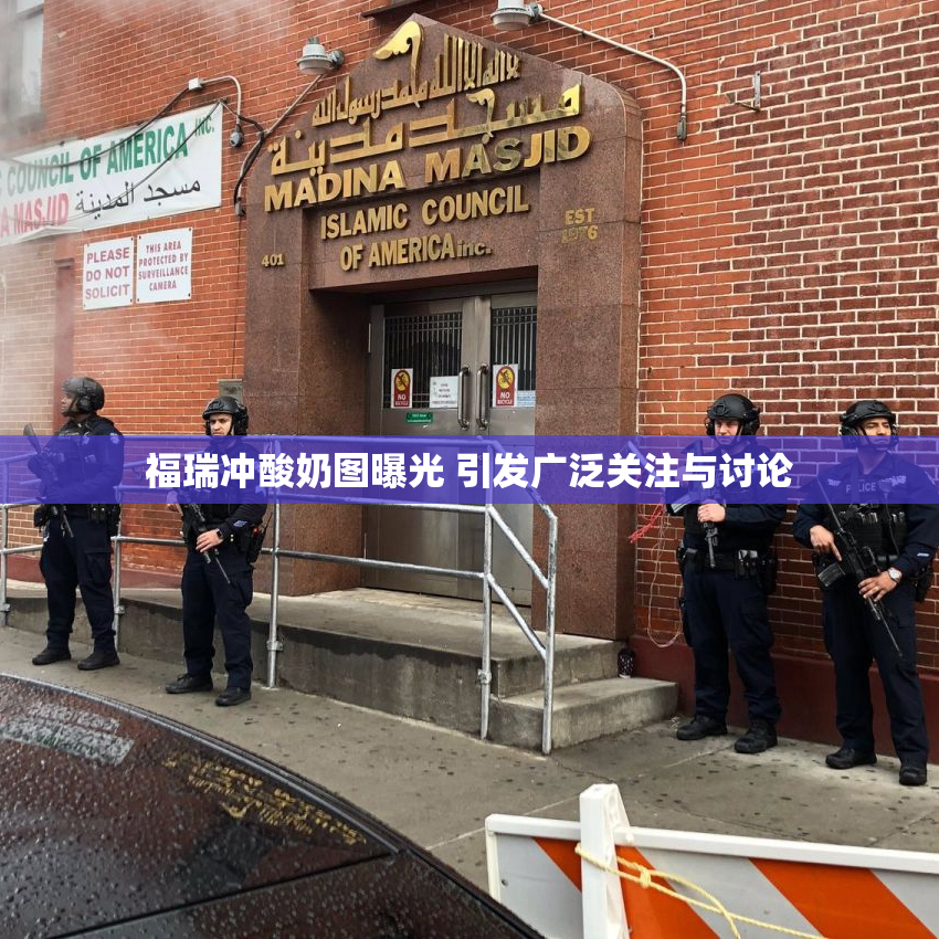福瑞冲酸奶图曝光 引发广泛关注与讨论