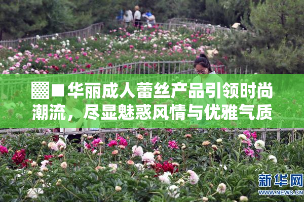 ▓■华丽成人蕾丝产品引领时尚潮流，尽显魅惑风情与优雅气质
