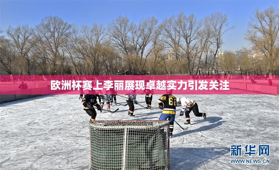 欧洲杯赛上李丽展现卓越实力引发关注