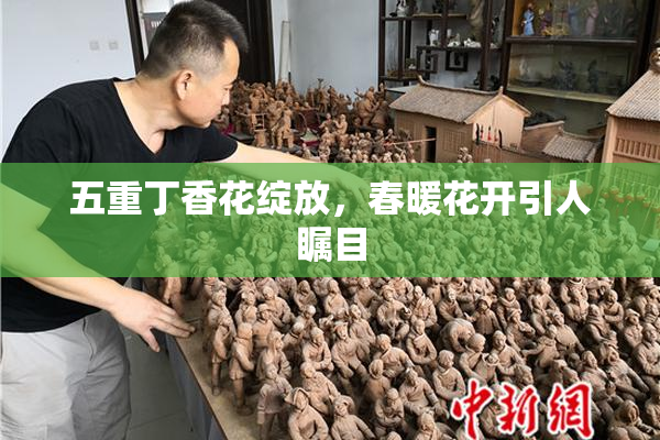 五重丁香花绽放，春暖花开引人瞩目