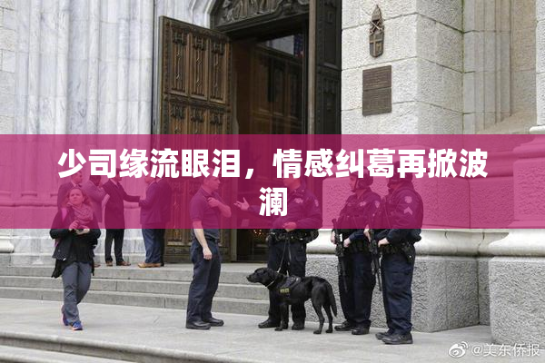 少司缘流眼泪，情感纠葛再掀波澜