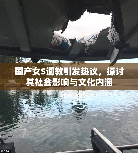 国产女S调教引发热议，探讨其社会影响与文化内涵