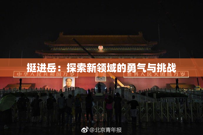 挺进岳：探索新领域的勇气与挑战
