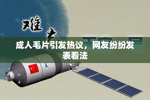成人毛片引发热议，网友纷纷发表看法