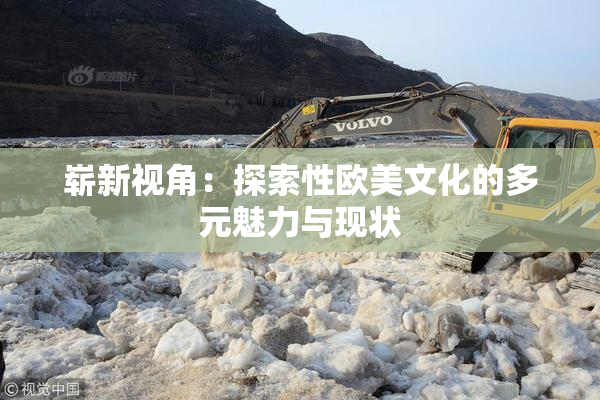 崭新视角：探索性欧美文化的多元魅力与现状