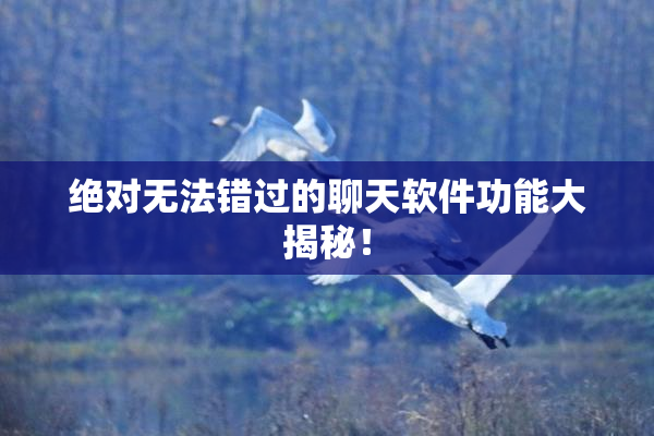 绝对无法错过的聊天软件功能大揭秘！