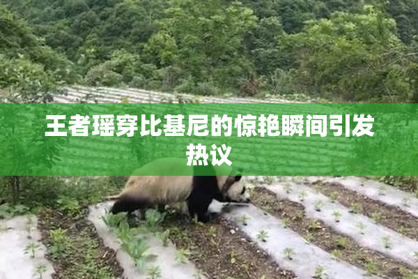 王者瑶穿比基尼的惊艳瞬间引发热议