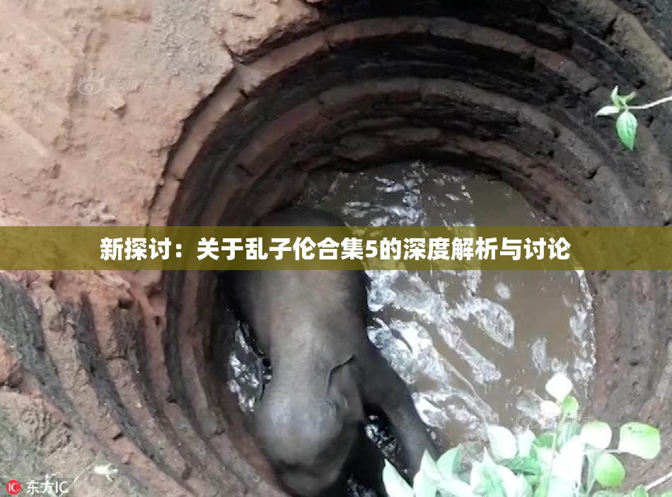 新探讨：关于乱子伦合集5的深度解析与讨论