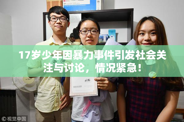 17岁少年因暴力事件引发社会关注与讨论，情况紧急！