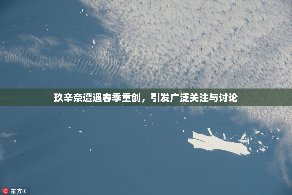 玖辛奈遭遇春季重创，引发广泛关注与讨论