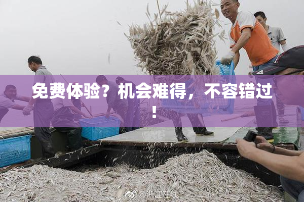 免费体验？机会难得，不容错过！