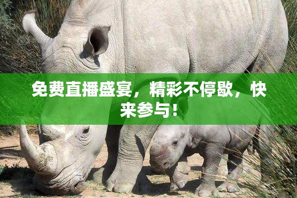 免费直播盛宴，精彩不停歇，快来参与！