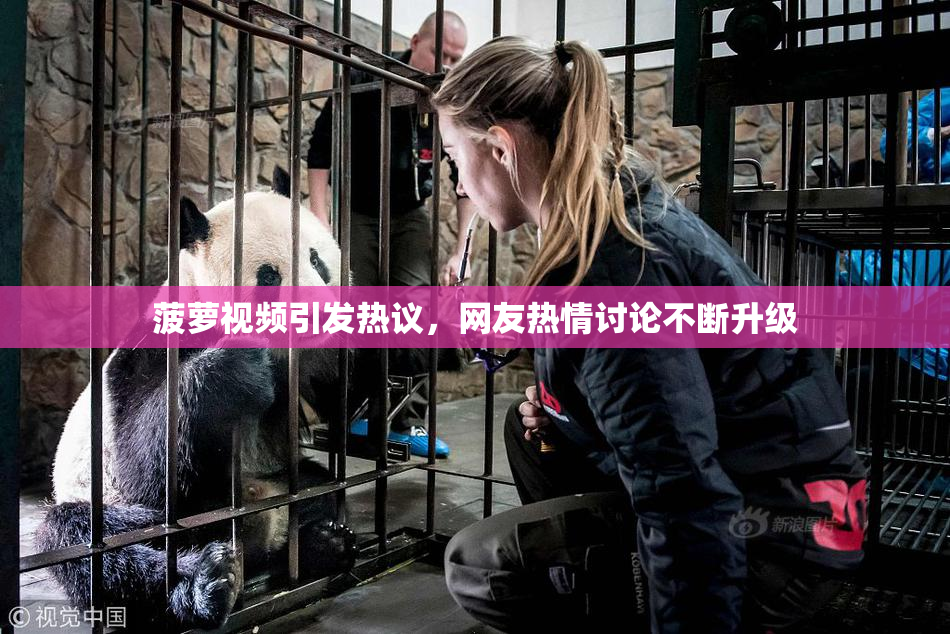 菠萝视频引发热议，网友热情讨论不断升级