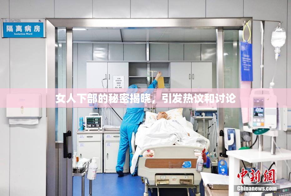 女人下部的秘密揭晓，引发热议和讨论