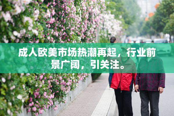 成人欧美市场热潮再起，行业前景广阔，引关注。