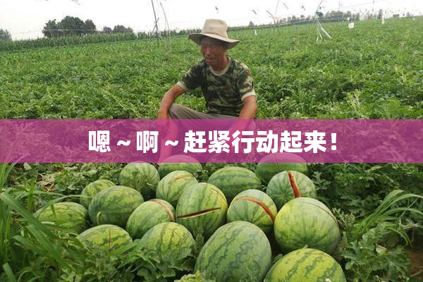 嗯～啊～赶紧行动起来！