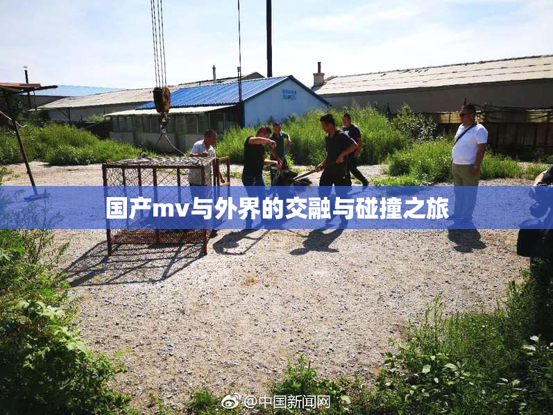 国产mv与外界的交融与碰撞之旅