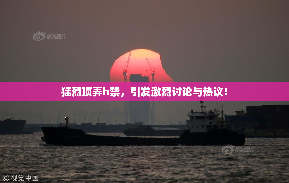 猛烈顶弄h禁，引发激烈讨论与热议！