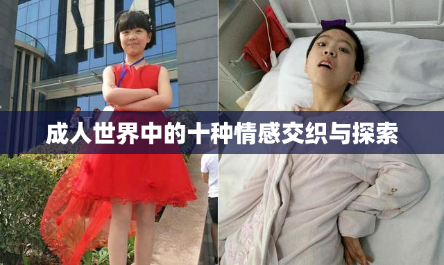 成人世界中的十种情感交织与探索