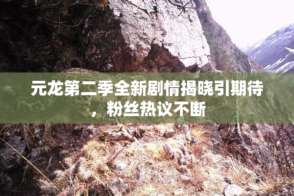 元龙第二季全新剧情揭晓引期待，粉丝热议不断