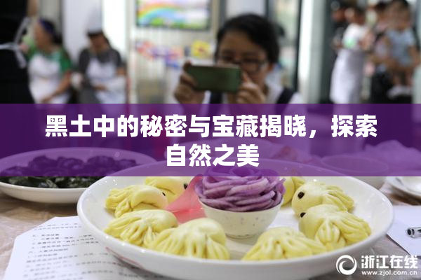 黑土中的秘密与宝藏揭晓，探索自然之美