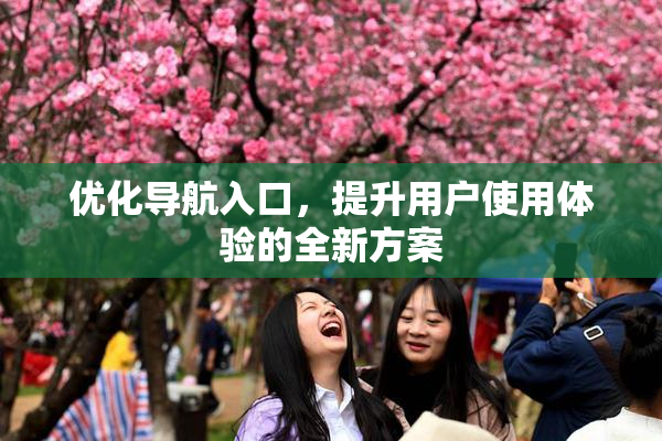 优化导航入口，提升用户使用体验的全新方案