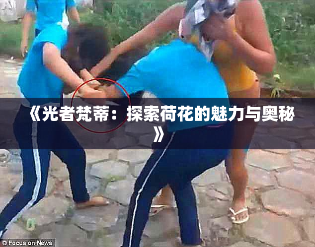 《光者梵蒂：探索荷花的魅力与奥秘》