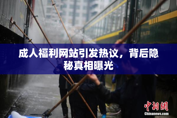 成人福利网站引发热议，背后隐秘真相曝光