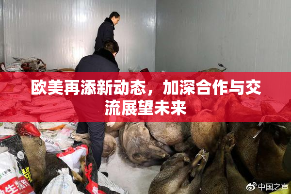 欧美再添新动态，加深合作与交流展望未来