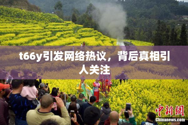 t66y引发网络热议，背后真相引人关注