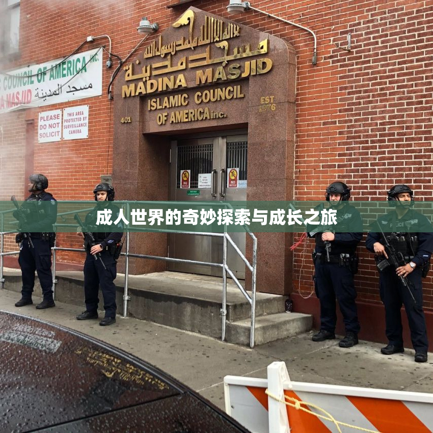 成人世界的奇妙探索与成长之旅