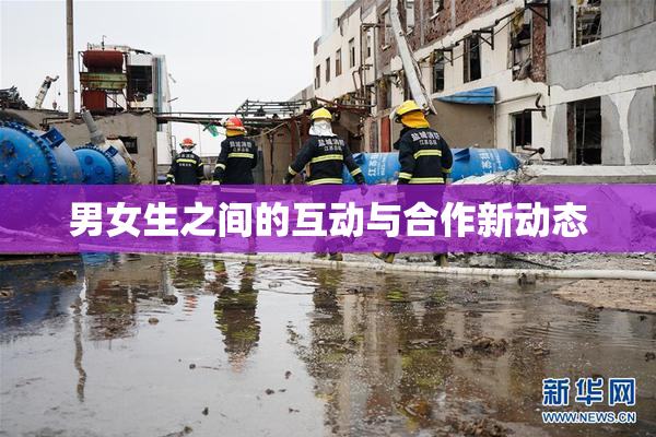 男女生之间的互动与合作新动态