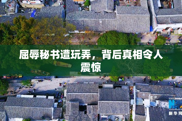 屈辱秘书遭玩弄，背后真相令人震惊