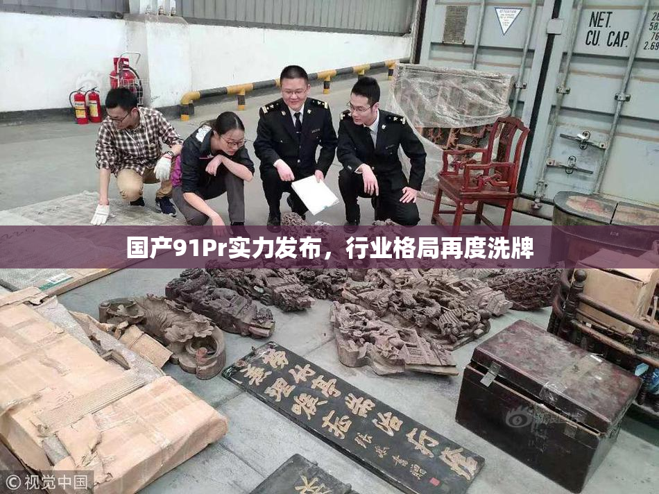 国产91Pr实力发布，行业格局再度洗牌