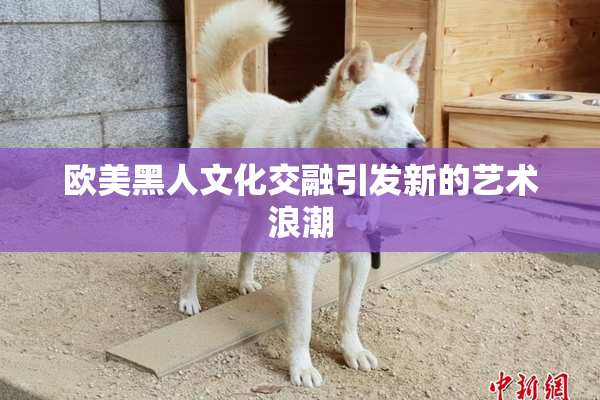 欧美黑人文化交融引发新的艺术浪潮