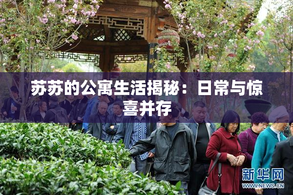 苏苏的公寓生活揭秘：日常与惊喜并存
