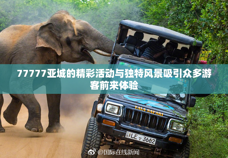 77777亚城的精彩活动与独特风景吸引众多游客前来体验