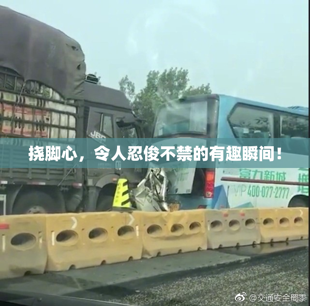 挠脚心，令人忍俊不禁的有趣瞬间！